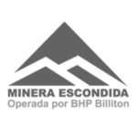 logo (3)